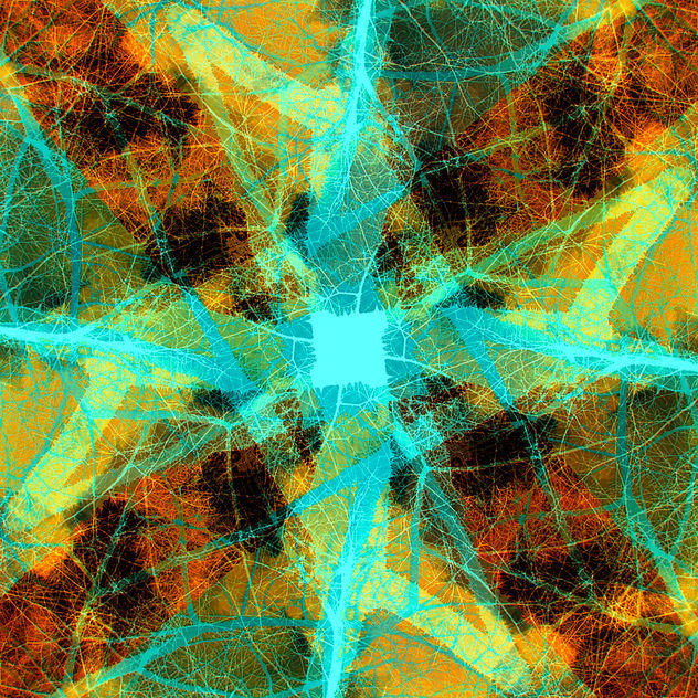 Root tree 0.0