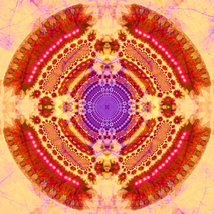 Tree of light 1.1