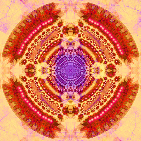 Tree of light 1.1