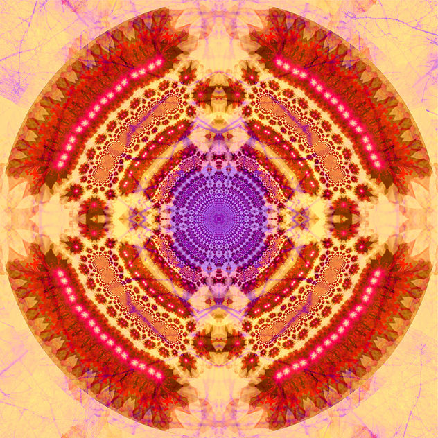 Tree of light 1.1
