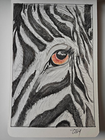 Mirada Salvaje