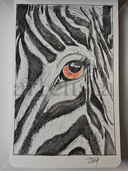 Mirada Salvaje Mixed Media