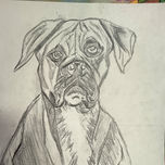 Animales thumbnail 2
