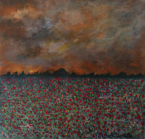 Campo de amapolas...