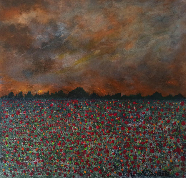Campo de amapolas al atardecer