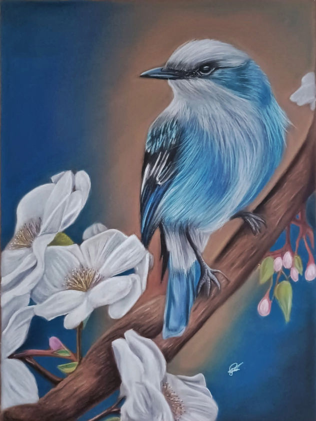 Vuela alto