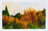 Belleza Silenciosa...