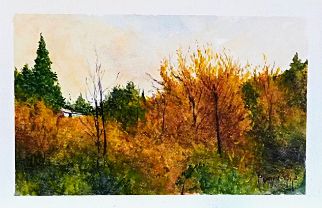 Silent Beauty of the Autumn Countryside