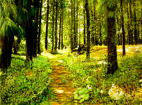 Senda (Valsequillo)...