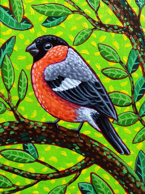 Camachuelo