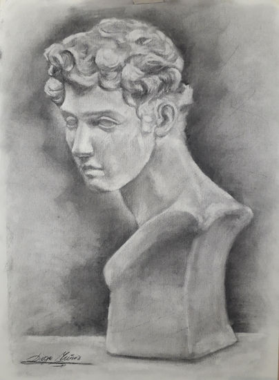 Busto de Juliano de Médici Charcoal