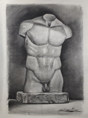 Torso masculino