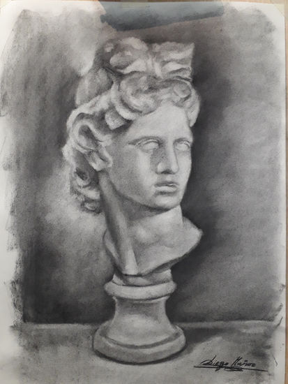 Busto de Apolo Charcoal