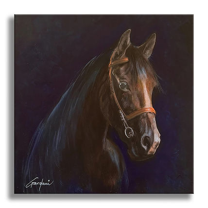 Distant Horse