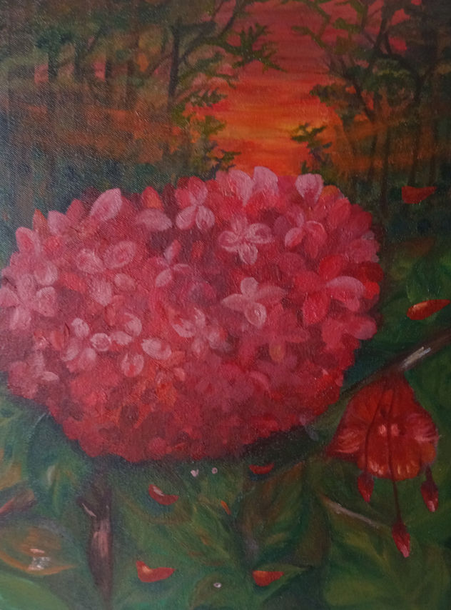 Plano rojo
