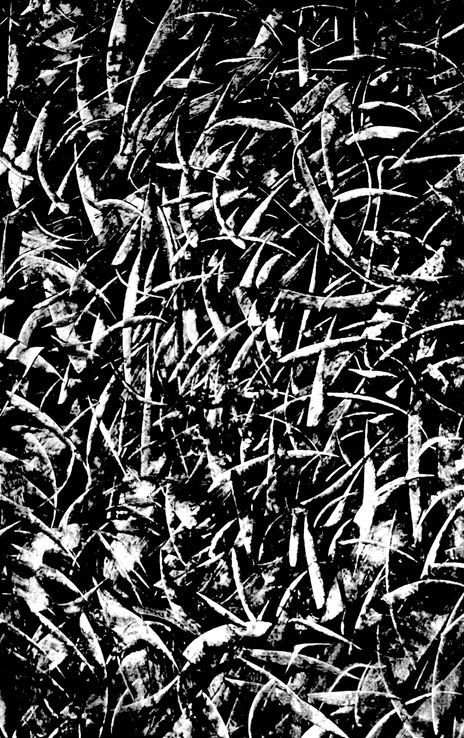 Bwx-2-in the reeds