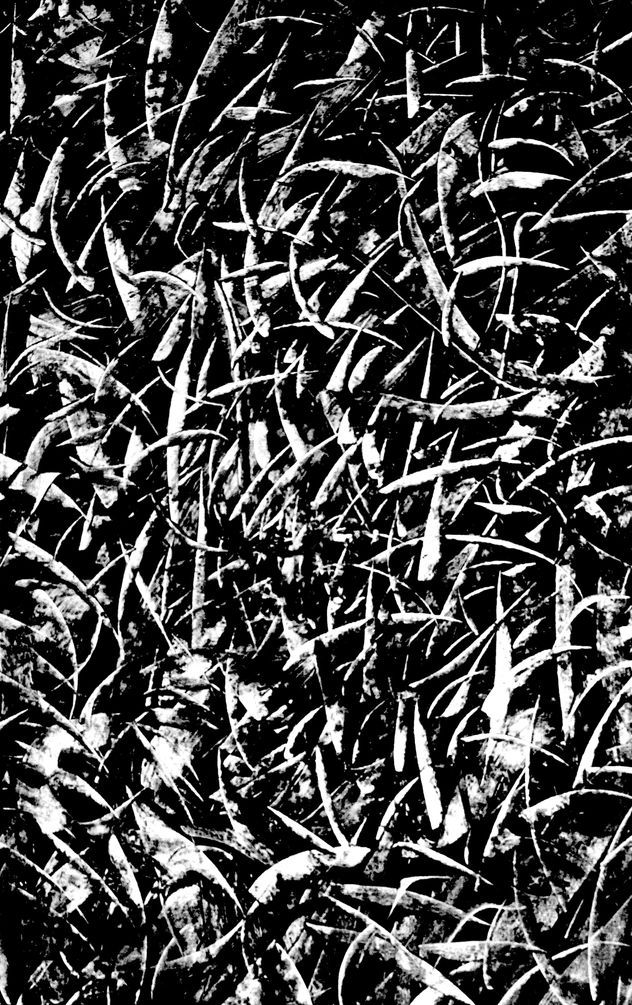 BWX-2-IN THE REEDS