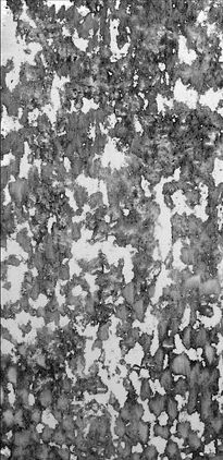 Bwx-7-under the tree