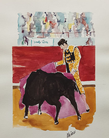 Tauromaquia 3