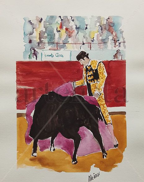 Tauromaquia 3