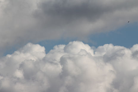 I. Cielos