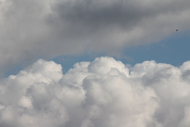 I. Cielos Nature Color (Digital)