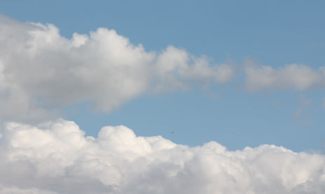 Cielos