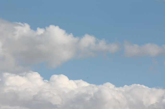 Cielos