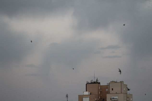 Cielos Naturaleza Color (Digital)