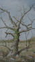 Old Tree ( after A.W. )