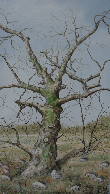 Old Tree ( after...