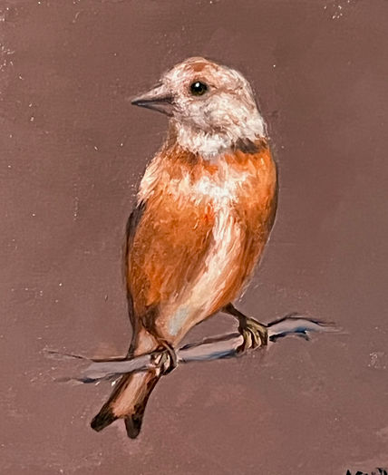 Pajarillo