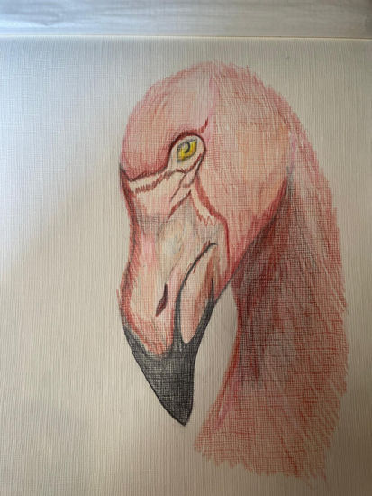 Dibujo flamenco Otros