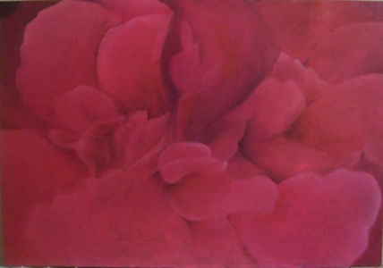 Corazón de hibisco