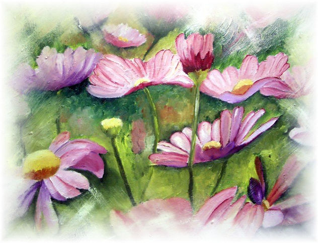 MARGARIDA FUCSIA