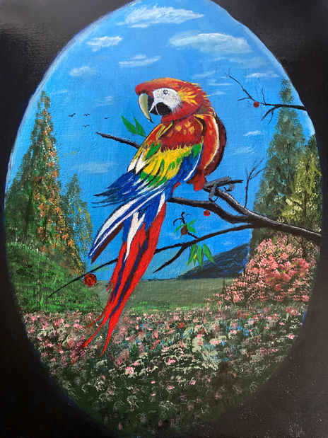 Guacamaya tica