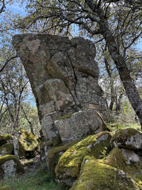Gigante de Piedra