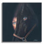 Sauvage Horse