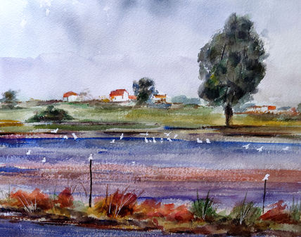 Delta de l'Ebre