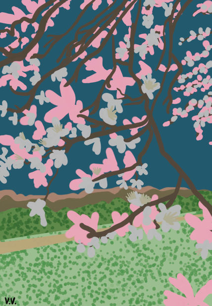 Cerezos en flor