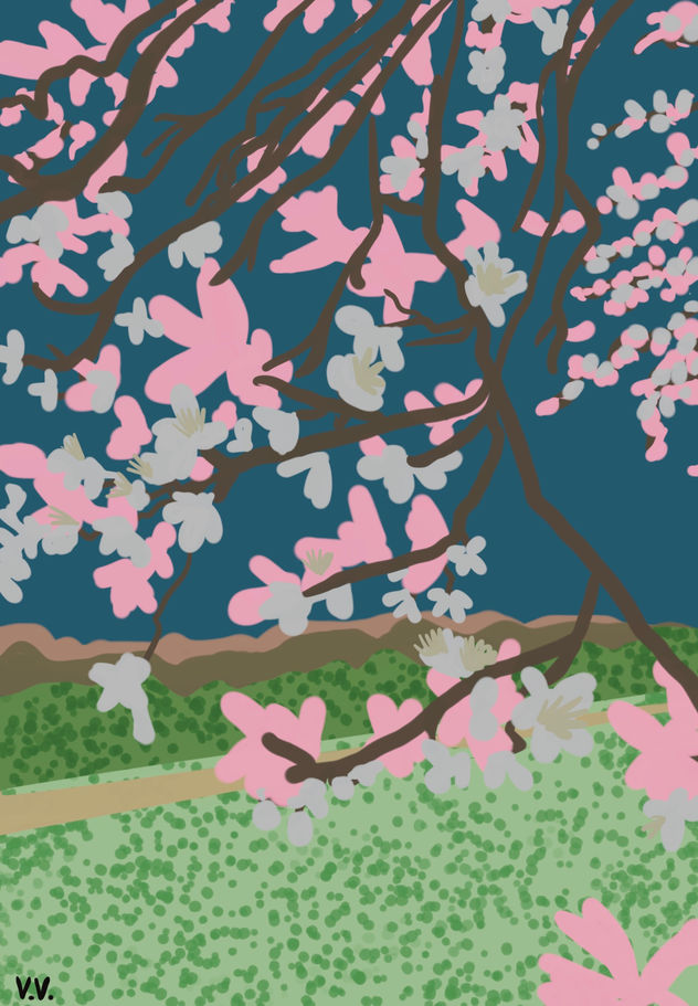 Cerezos en flor