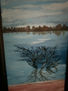 Arbol en el rio