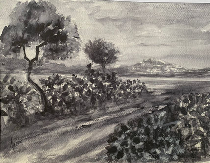 Ibiza desde el campo