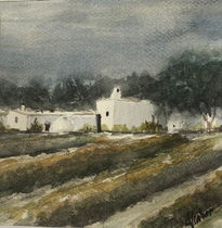 Casa de campo en Ibiza