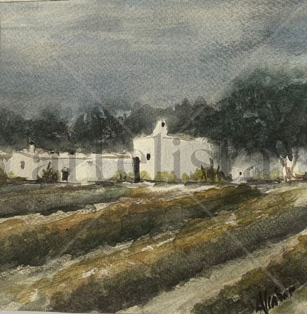 Casa de campo en Ibiza
