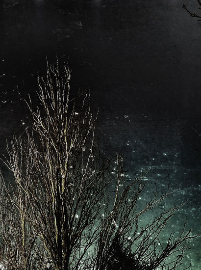 Mantra visual Nature Color (Digital)