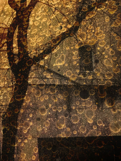 Ciudad interna Otras temáticas Color (Digital)