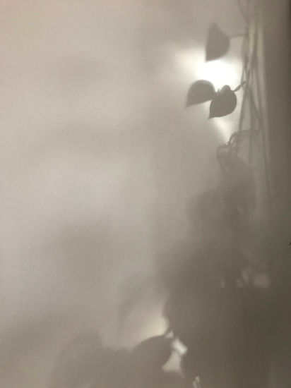 Raíz cósmica Otras temáticas Color (Digital)