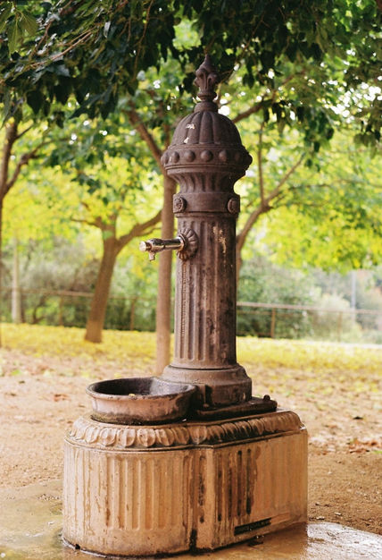 Fuente publica
