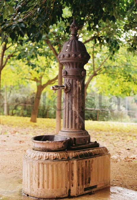 Fuente publica